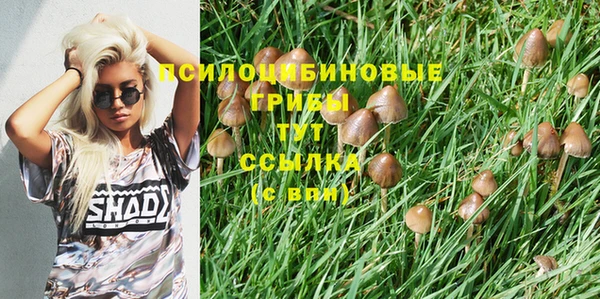 ECSTASY Армянск