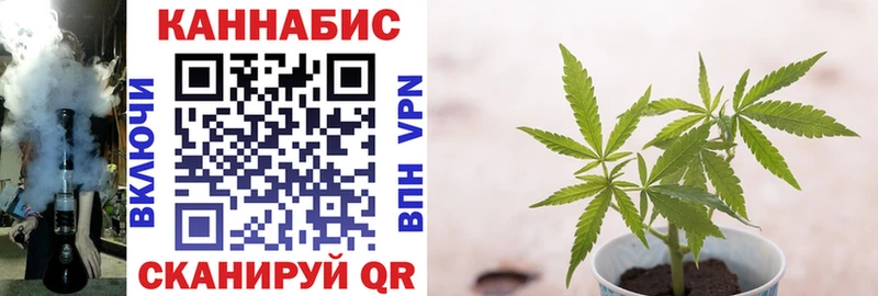 Конопля сатива  закладки  Краснотурьинск 